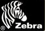Zebra (зебра)